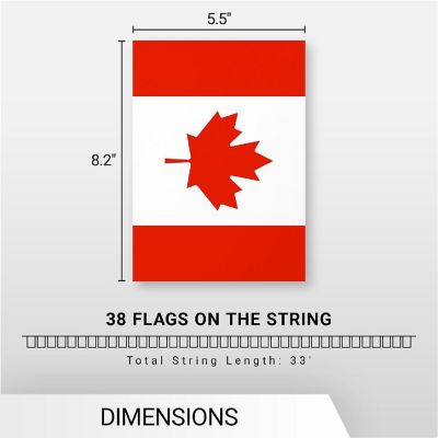G128 8.2x5.5IN Flag Pieces 33FT Full String, Canada Printed 150D Polyester Bunting Banner Flag Image 3