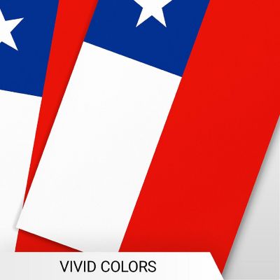G128 8.2x5.5IN Flag Pieces 33FT Full String, Chile Printed 150D Polyester Bunting Banner Flag Image 2