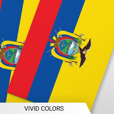 G128 8.2x5.5IN Flag Pieces 33FT Full String, Ecuador Printed 150D Polyester Bunting Banner Flag Image 2