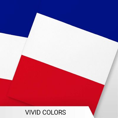 G128 8.2x5.5IN Flag Pieces 33FT Full String, France Printed 150D Polyester Bunting Banner Flag Image 2