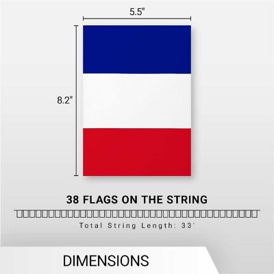 G128 8.2x5.5IN Flag Pieces 33FT Full String, France Printed 150D Polyester Bunting Banner Flag Image 3