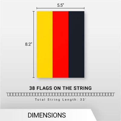 G128 8.2x5.5IN Flag Pieces 33FT Full String, Germany Printed 150D Polyester Bunting Banner Flag Image 3