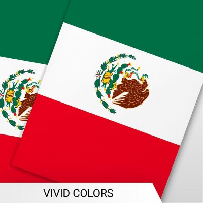 G128 8.2x5.5IN Flag Pieces 33FT Full String, Mexico Printed 150D Polyester Bunting Banner Flag Image 2