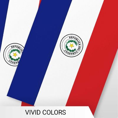 G128 8.2x5.5IN Flag Pieces 33FT Full String, Paraguay Printed 150D Polyester Bunting Banner Flag Image 2