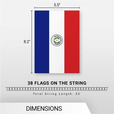 G128 8.2x5.5IN Flag Pieces 33FT Full String, Paraguay Printed 150D Polyester Bunting Banner Flag Image 3