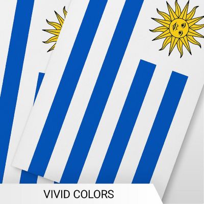 G128 8.2x5.5IN Flag Pieces 33FT Full String, Uruguay Printed 150D Polyester Bunting Banner Flag Image 2