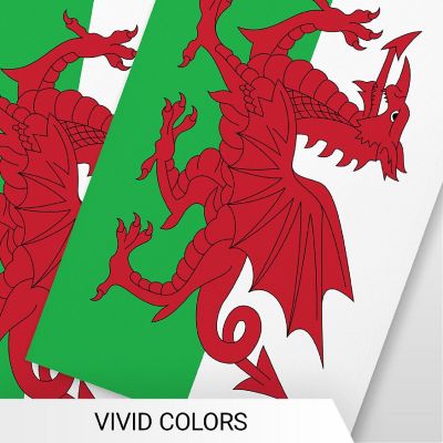 G128 8.2x5.5IN Flag Pieces 33FT Full String, Wales Printed 150D Polyester Bunting Banner Flag Image 2