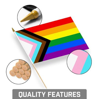 G128 8x12 Inches 24PK LGBT Rainbow Pride Progress Printed 150D Polyester Handheld Stick Flag Image 3