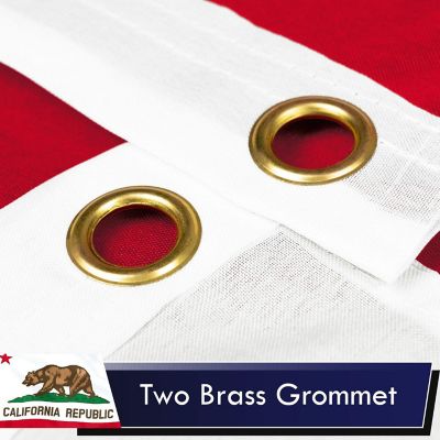 G128 - California CA State Flag 3x5FT 2 Pack Printed Polyester Image 1