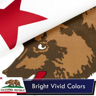 G128 - California CA State Flag 3x5FT 2 Pack Printed Polyester Image 2