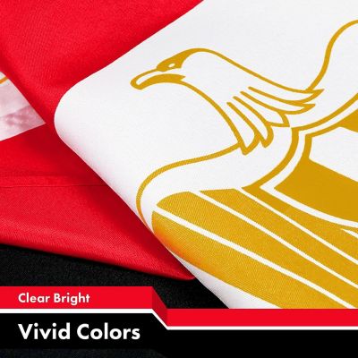 G128 - Egypt Egyptian Flag 3x5FT 5 Pack 150D Printed Polyester Image 2