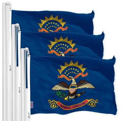 G128 - North Dakota ND State Flag 3x5FT 3 Pack 150D Printed Polyester Image 1