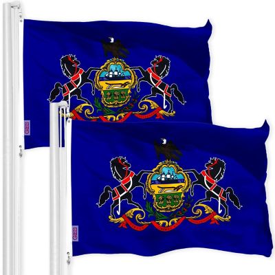 G128 - Pennsylvania PA State Flag 3x5FT 2 Pack 150D Printed Polyester Image 1