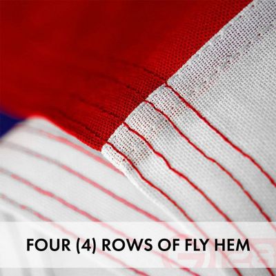 G128 - Texas State Flag 5x8 FT 5 Pack Embroidered Stars Sewn Stripes Heavy Duty 220GSM Tough Spun Polyester Quality with Brass Grommets Image 3