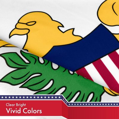 G128 - U.S. Virgin Islands Flag 3x5FT 2 Pack 150D Printed Polyester Image 2