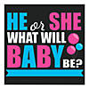 Gender Reveal Backdrop Banner Image 1