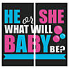 Gender Reveal Backdrop Banner Image 1
