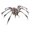 Giant Spider Skeleton Halloween Decoration Image 1