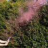 Ginger Ray Gender Reveal Pink Smoke Confetti Cannon Image 1