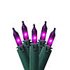 GKI/Bethlehem Lighting 100-Count Purple Commercial Grade Mini Christmas Light Set  45.5ft Green Wire Image 1