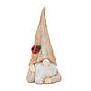 Gnome Statue With Wood Grain Design (Set Of 2) 10"H Resin Image 1