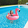 GoFloats Flamingo - Jr Pool Float Party Tube Image 1