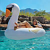 GoFloats Giant Inflatable Swan Pool Float And Drink Float Image 3