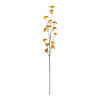 Golden Patrina Spray (Set of 12) Image 1