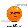 Gosports 3.82" weighted training softballs 6 pack - hitting & pitching training for all skill levels - improve power and mechanics Image 1