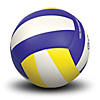 GoSports Indoor Competition Volleyball - Made From Synthetic Leather - Includes Ball Pump - Regulation Size and Weight Image 2
