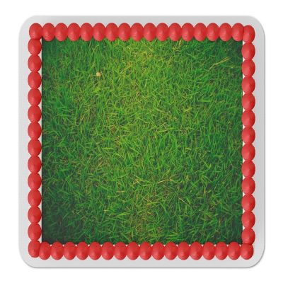 Grass Edible Cake Topper for Quarter Sheet Cake Image 1