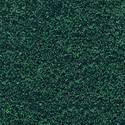 Grass Gift Wrap Image 2