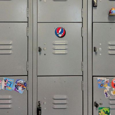 Grateful Dead Steal Your Face Funky Chunky Magnet Image 1