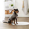 Gray Embroidered Paw Medium Pet Robe Image 3