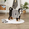 Gray Embroidered Paw Small Pet Towel (Set Of 3) Image 4