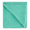 Green Embroidered Bone Pet Towel Image 1