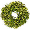 Green Foliage Artificial Spring Wreath  10-Inch Image 1