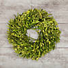 Green Foliage Artificial Spring Wreath  10-Inch Image 1
