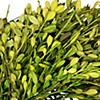 Green Foliage Artificial Spring Wreath  10-Inch Image 4