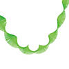 Green Fringe Paper Streamer Image 1