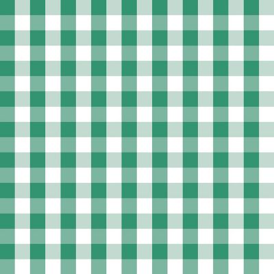 Green Gingham Gift Wrap Image 2
