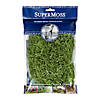 Green Spanish Mossss - 2 oz. Image 1