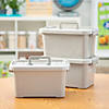 Grey Large Locking Storage Bins with Lids &amp; Handles- 3 Pc. Image 2