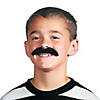Hairy Mustaches - 36 Pc. Image 1