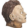 Halloween Ends&#8482; Michael Myers Overhead Latex Mask - One Size Image 3