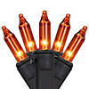 Halloween Mini Light Set - Orange -7' Black Wire - 35ct Image 1