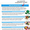 Hand2Mind Take-Home Manipulative Kit, Grades K-2 Image 3