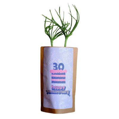 Happy 30th Anniversary - 10 Trees - ForestNation - 1oz Tree Kit Pouch Image 1