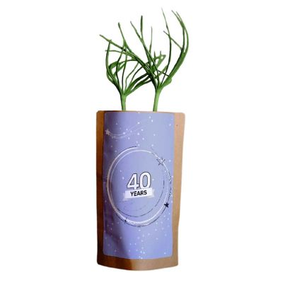 Happy 40th Anniversary - 10 Trees - ForestNation - 1oz Tree Kit Pouch Image 1