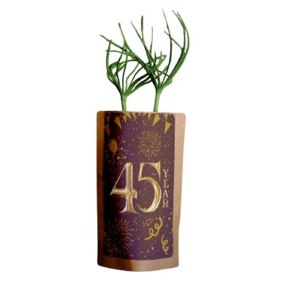 Happy 45th Anniversary - 25 Trees - ForestNation - 1oz Tree Kit Pouch Image 1